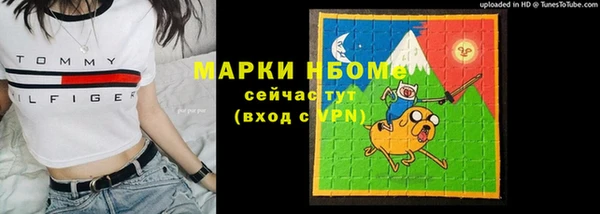 PSILOCYBIN Белокуриха