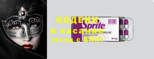дживик Семилуки