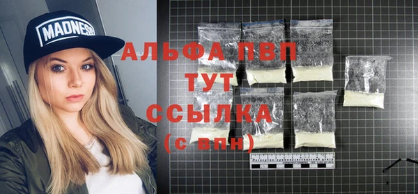 прущие грибы Белоозёрский